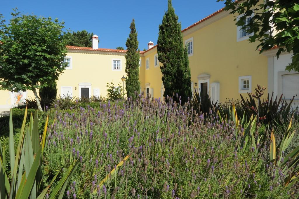 Casa Pinha Villa Praia del Rei Bilik gambar